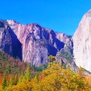 32 California - Yosemite NP 